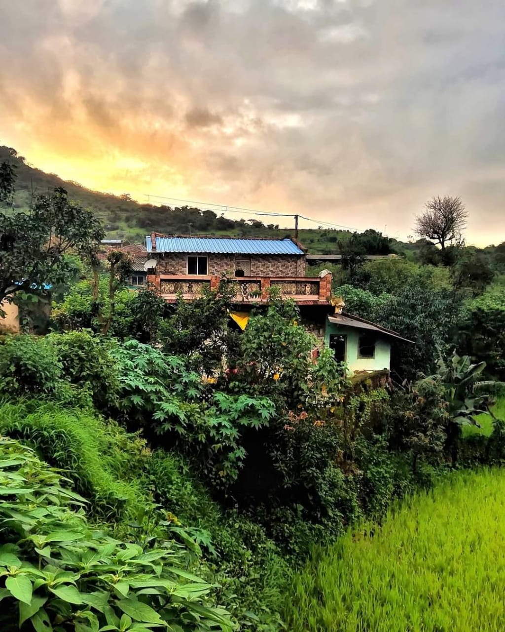 Jivdhan-Vanarlingi Valley Crossing & Rappelling 2025